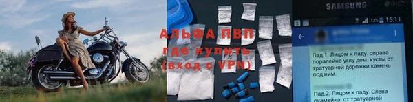 spice Аркадак