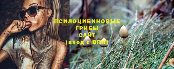 2c-b Алексеевка