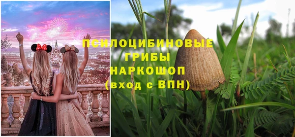 spice Аркадак