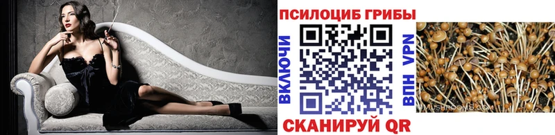 цены   hydra tor  Галлюциногенные грибы Magic Shrooms  Арсеньев 